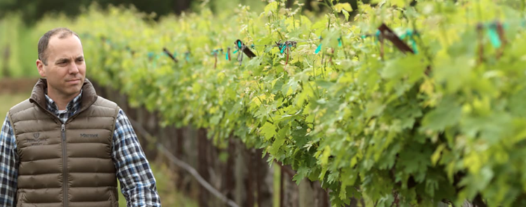 Cabernet Sauvignon Cabernet Sauvignon, Plumpjack Estate, Oakville, CA, 2021