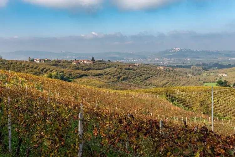 Nebbiolo Barbaresco, Bordini, La Spinetta, Piedmont, IT, 2018