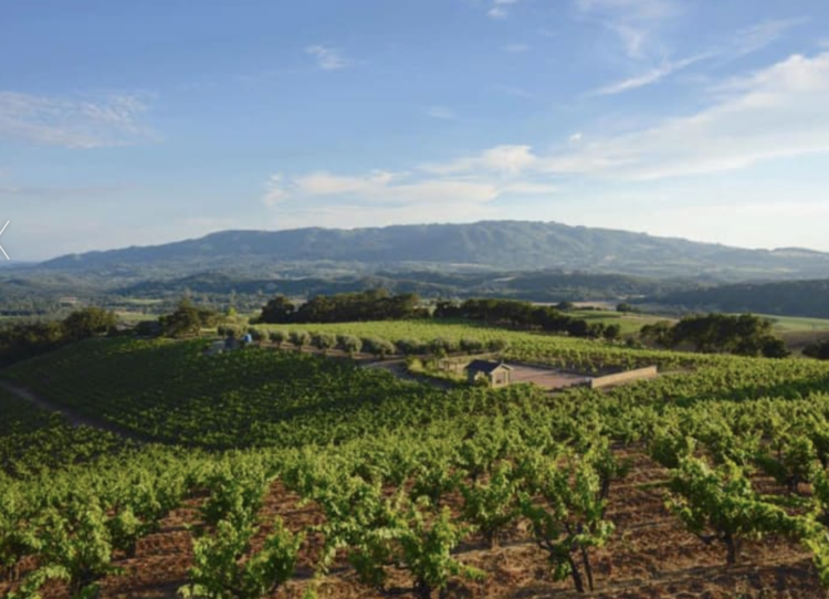 Zinfandel Zinfandel "Kirschenmann", Turley, Lodi, CA, 2021