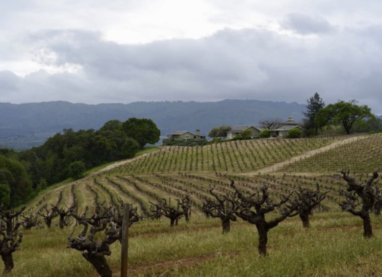 Zinfandel Zinfandel "Kirschenmann", Turley, Lodi, CA, 2021