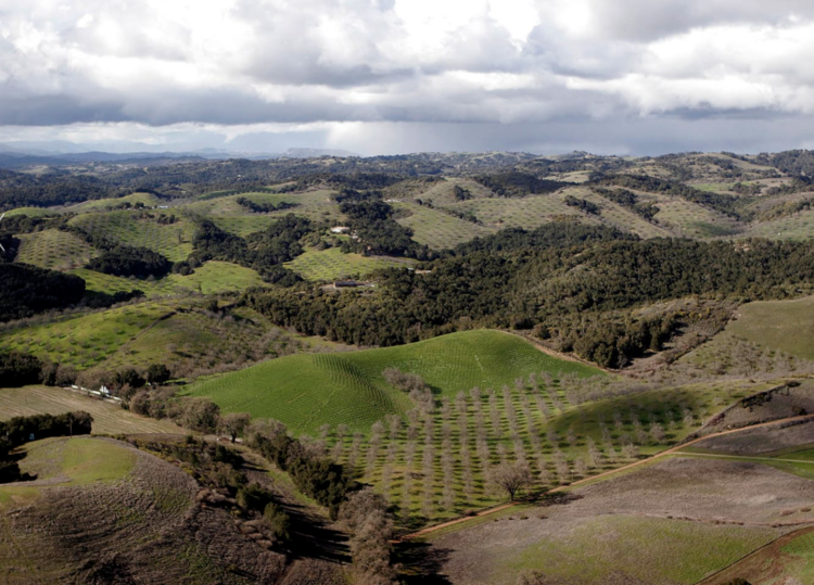Zinfandel Zinfandel "Kirschenmann", Turley, Lodi, CA, 2021