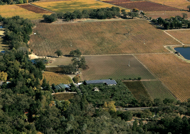 Zinfandel Zinfandel "Kirschenmann", Turley, Lodi, CA, 2021