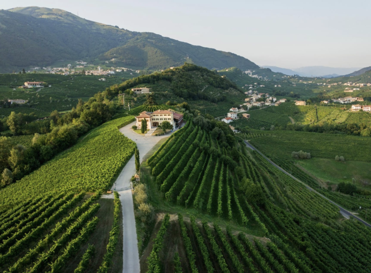 Corvina Amarone Classico "Costasera", Masi, IT, 2020