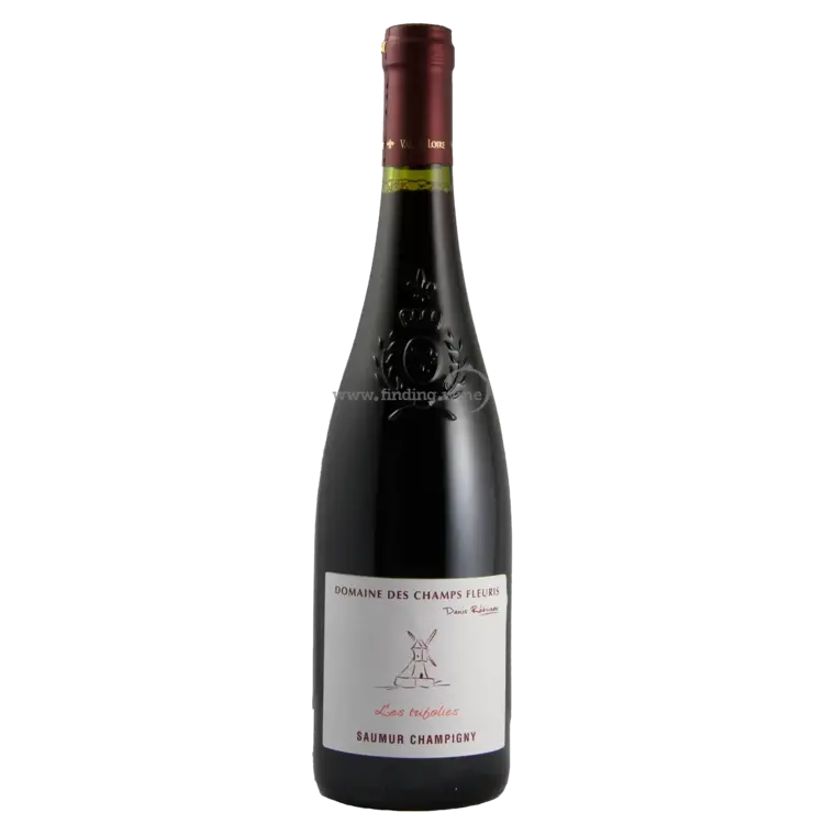 Cabernet Franc Cabernet Franc "Les Tufolies", Domaine des Champs Fleuris, Saumer-Champigny, FR, 2020