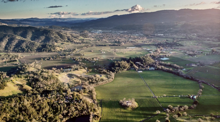 Chardonnay Chardonnay, Chateau Montelena, Napa Valley, CA, 2021