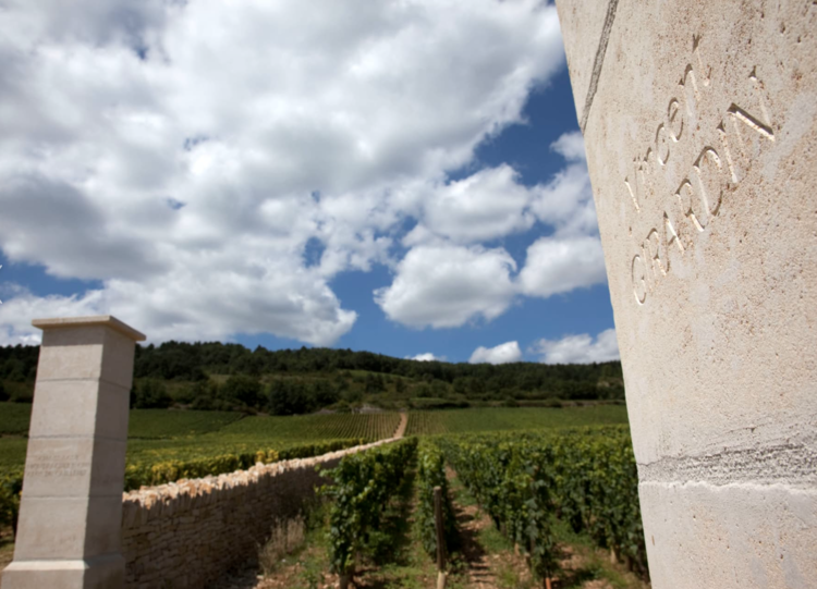 White Burgundy Bourgogne Blanc, "Cuvee Saint-Vincent", Girardin, Burgundy, FR, 2021