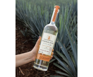 tequila-tequila-reposado-