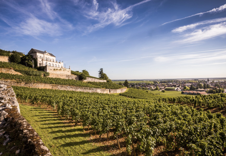 White Burgundy Chardonnay "Secret de Famille", Albert Bichot, Bourgogne, FR, 2018