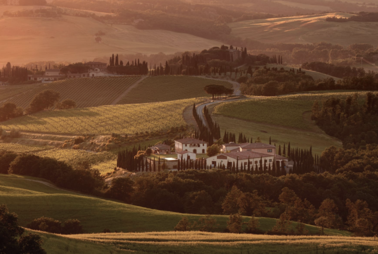 Sangiovese Brunello di Montalcino DOCG "Riserva" Caparzo, Toscana, IT, 2010 (Massimo Bracalente)