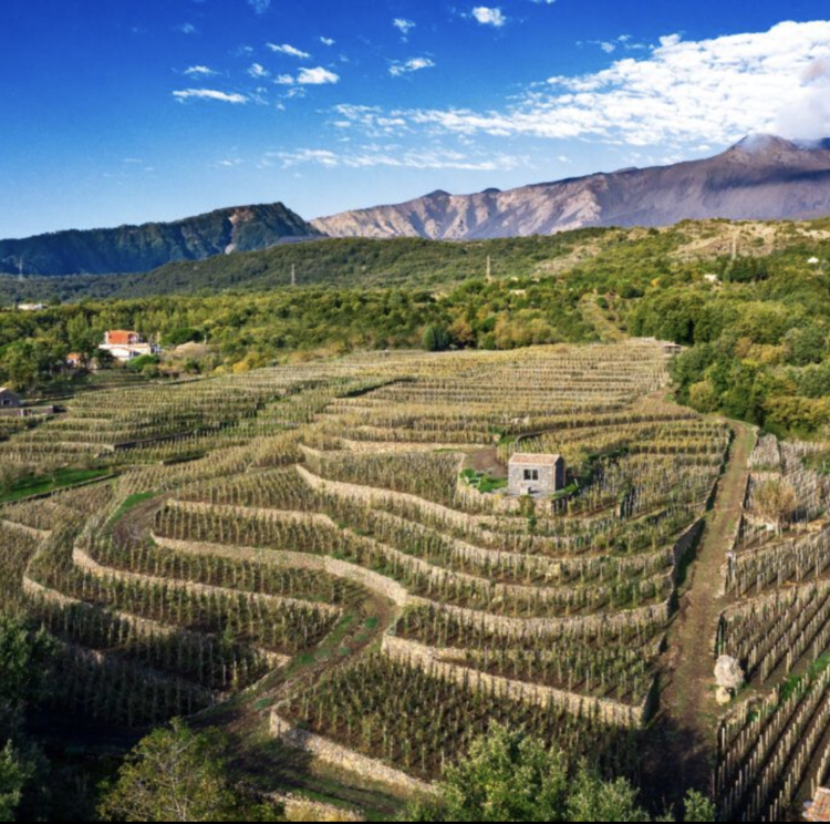 Carricante Etna Bianco DOC, Benanti, Sicily, IT, 2023 (Family winemaking for over 100yrs)