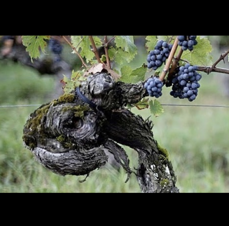 Bordeaux Château Cheval Blanc, 1er Grand Cru Classé "A", Saint-Émilion, FR, 2018