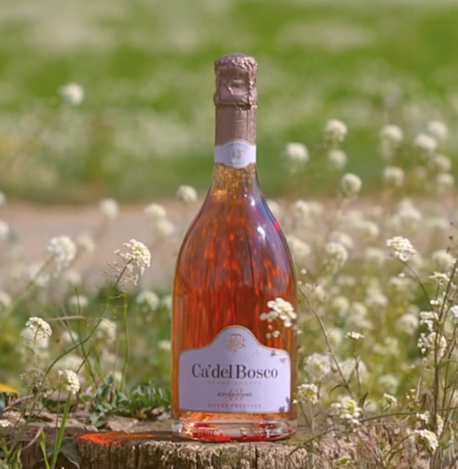 Cuvée Prestige Rosé Edizione 45 Extra Brut - Ca' del Bosco (Gift