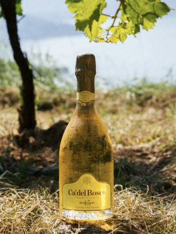 Sparkling Franciacorta, "Cuvee Prestige" Ca del Bosco, IT, NV