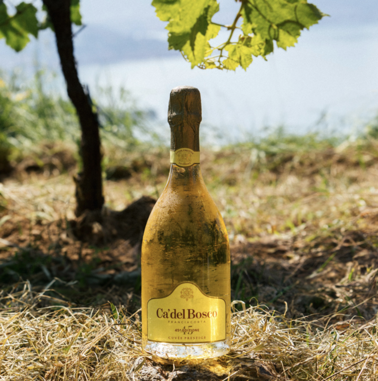 Sparkling Franciacorta, "Cuvee Prestige" Ca del Bosco, IT, NV