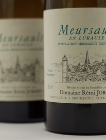 Last Chance Meursault En Luraule, Domaine Remi Jobard Burgundy, FR, 2021