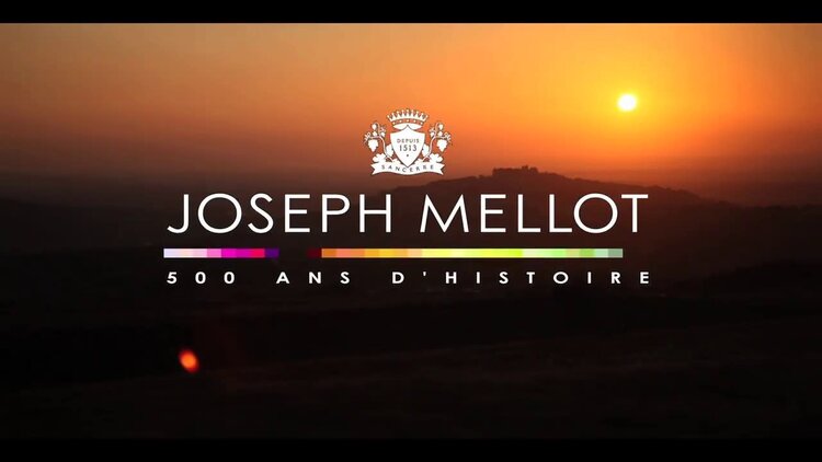 Other Whites Pouilly-Fume "Troncsec", Joseph Mellot, Loire, FR, 2022