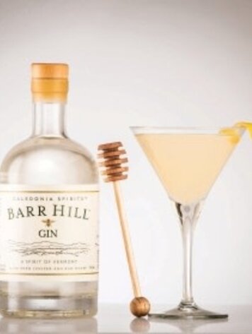 Gin Gin, Barr Hill, 750mL