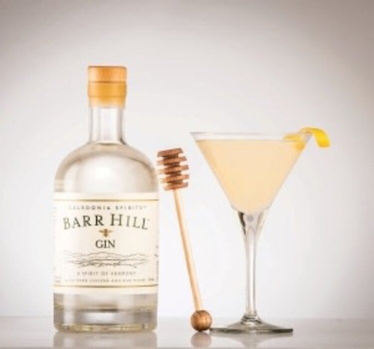Gin Gin, Barr Hill, 750mL