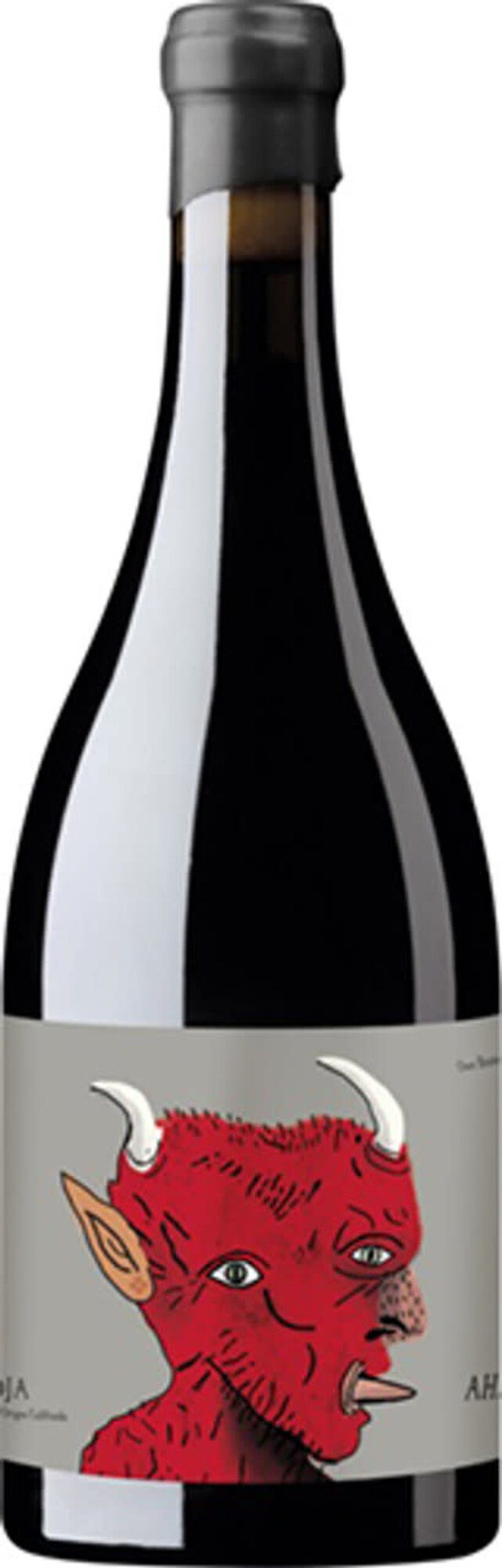 Other Reds Tempranillo "Ahari" Oxer Bastegieta, Rioja ES, 2021