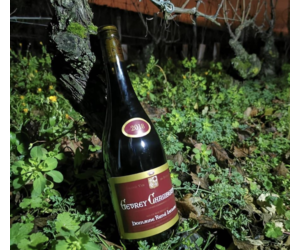 Gevrey-Chambertin 2018 POUILLY FUISSE2本 Gevrey-Chambertin 2018 POUILLY FUISSE2本 Gevrey-Chambertin