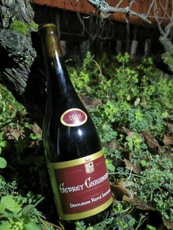 Burgundy Gevrey-Chambertin, Domaine Rene Leclerc, Burgundy, FR, 2018 (Francois Leclerc)