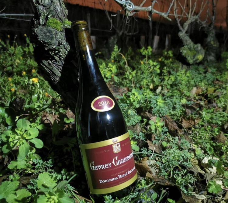 Burgundy Gevrey-Chambertin, Domaine Rene Leclerc, Burgundy, FR, 2018 (Francois Leclerc)