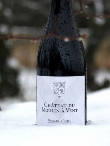 Gamay Gamay, Château du Moulin-A Vent, Beaujolais, FR, 2019