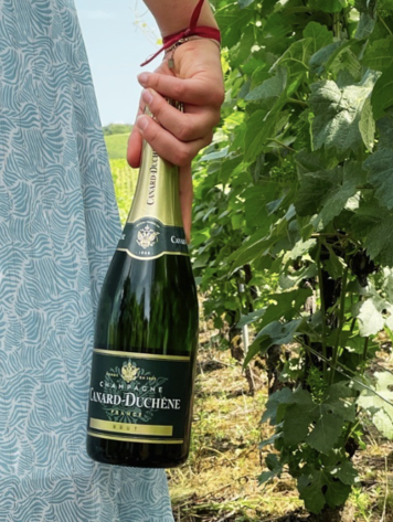 Champagne Champagne "Brut", Maison Canard Duchêne, Montagne de Reims, FR, NV (est. 1868)