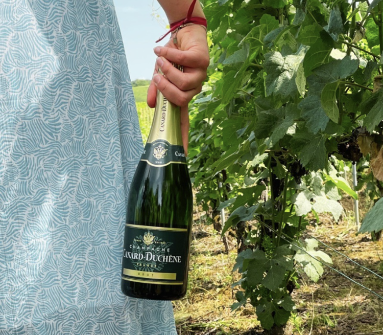 Champagne Champagne "Brut", Maison Canard Duchêne, Montagne de Reims, FR, NV (est. 1868)