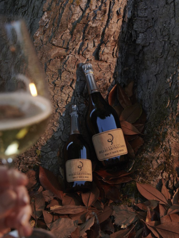 Champagne Champagne "Brut Sous Bois", Billecart-Salmon, Épernay, FR, NV