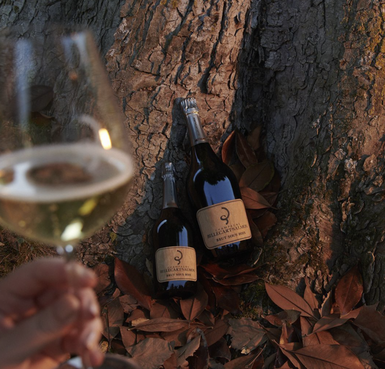 Champagne Champagne "Brut Sous Bois", Billecart-Salmon, Épernay, FR, NV