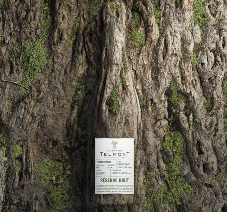 Champagne Champagne "Réserve Brut", Telmont, Épernay, FR, NV (est. 1912)