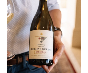 ワイン Salamander Reserve Chardonnay 2021 750ml Salamander