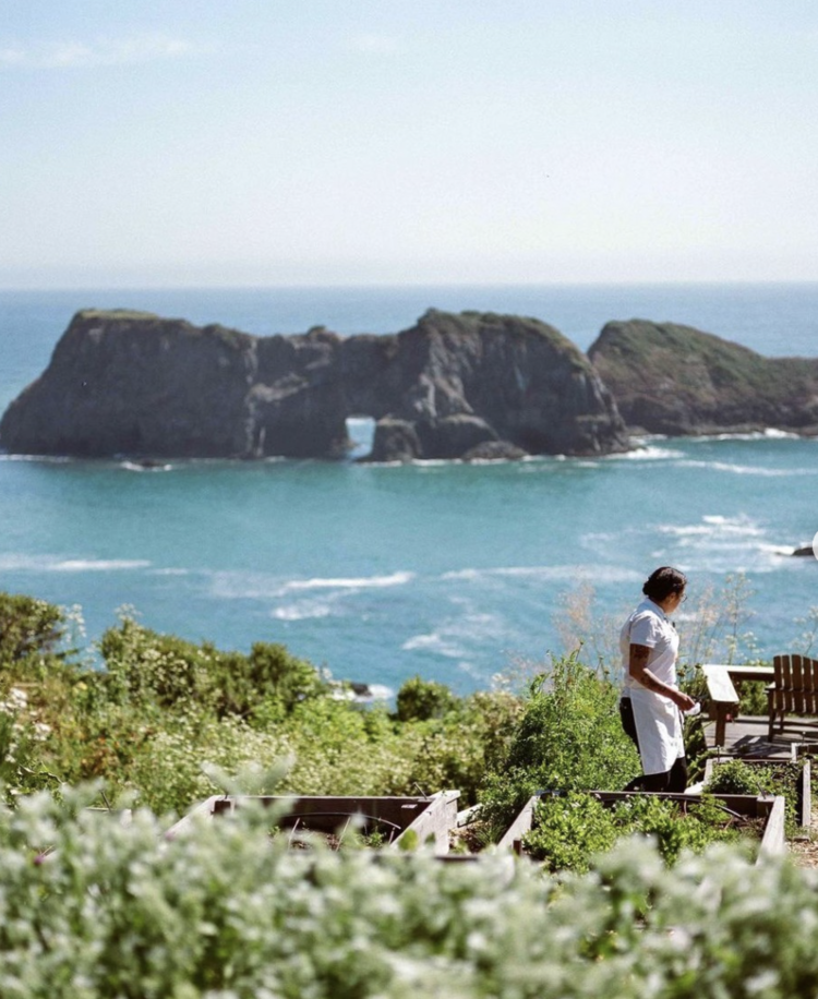 Chardonnay Chardonnay, Flowers Vineyards, Sonoma Coast, CA 2023
