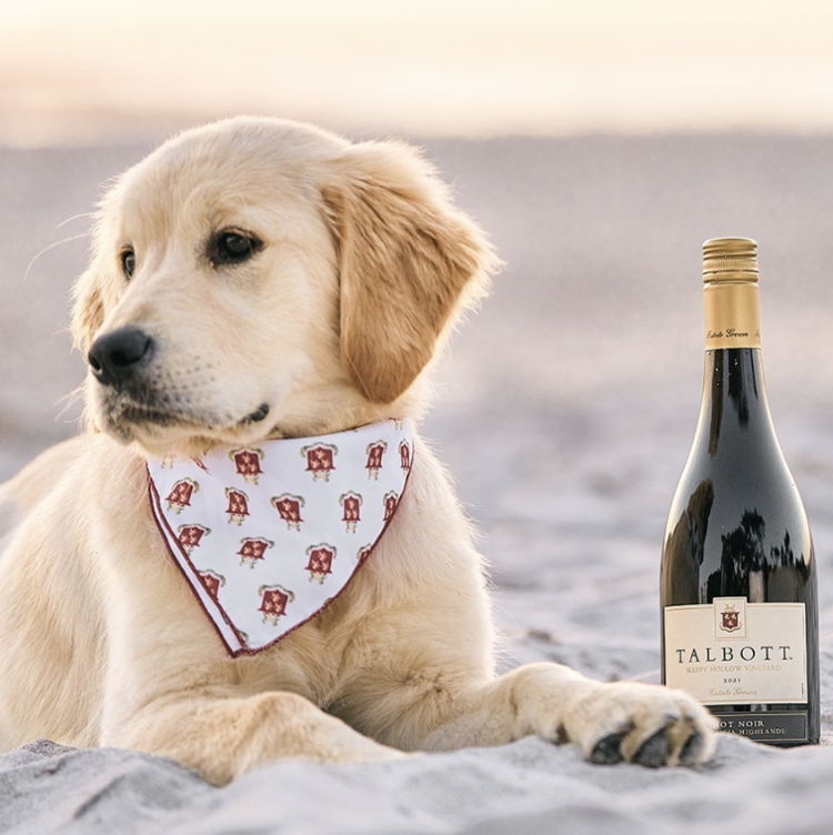 Chardonnay Chardonnay "Sleepy Hollow", Talbott Vineyards, Santa Lucia Highlands, CA, 2020