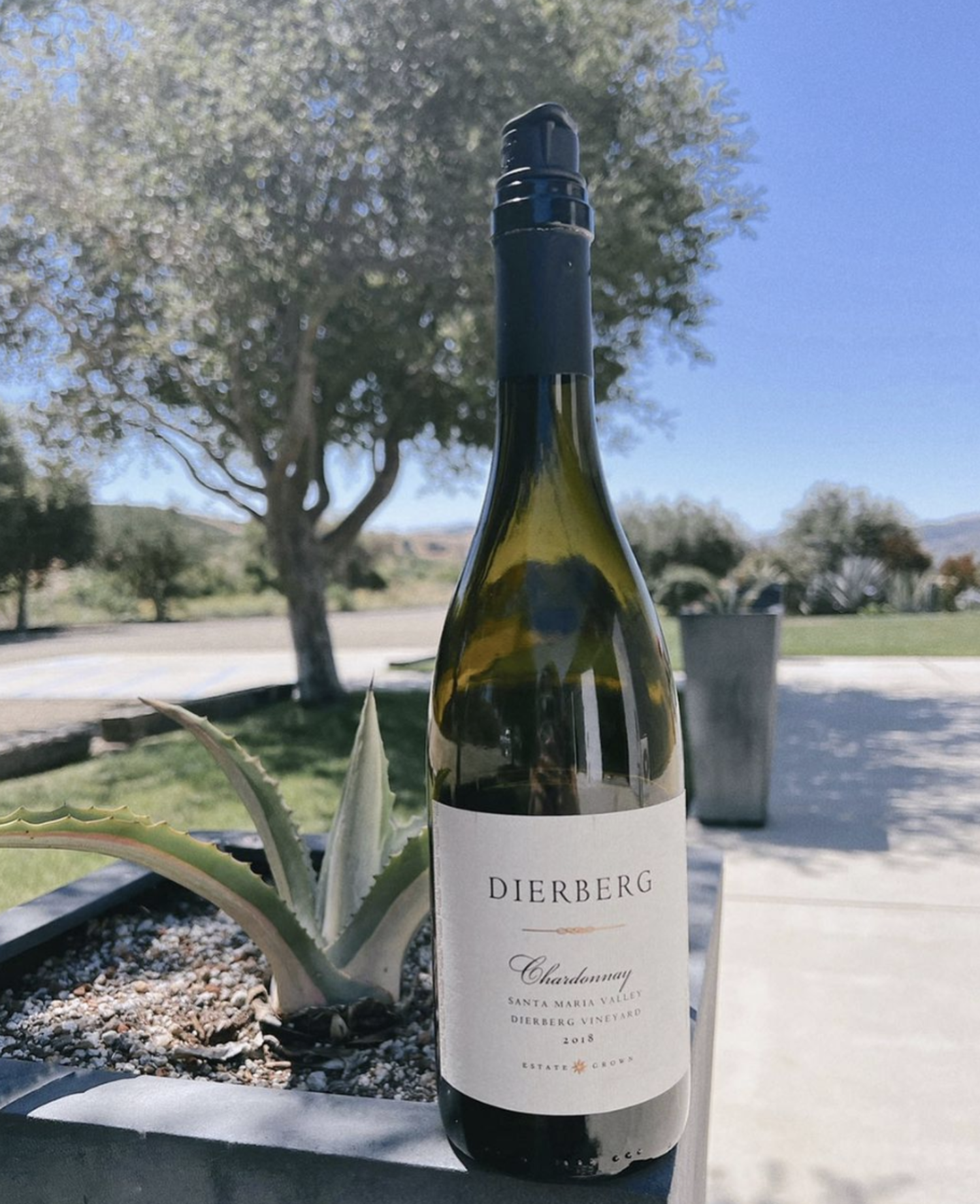 ワイン Dierberg Chardonnay 2018 Chardonnay 