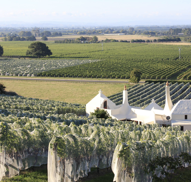 Last Chance Chardonnay "Hawke's Bay Estate", Te Mata, Hawke's Bay, New Zealand, 2021