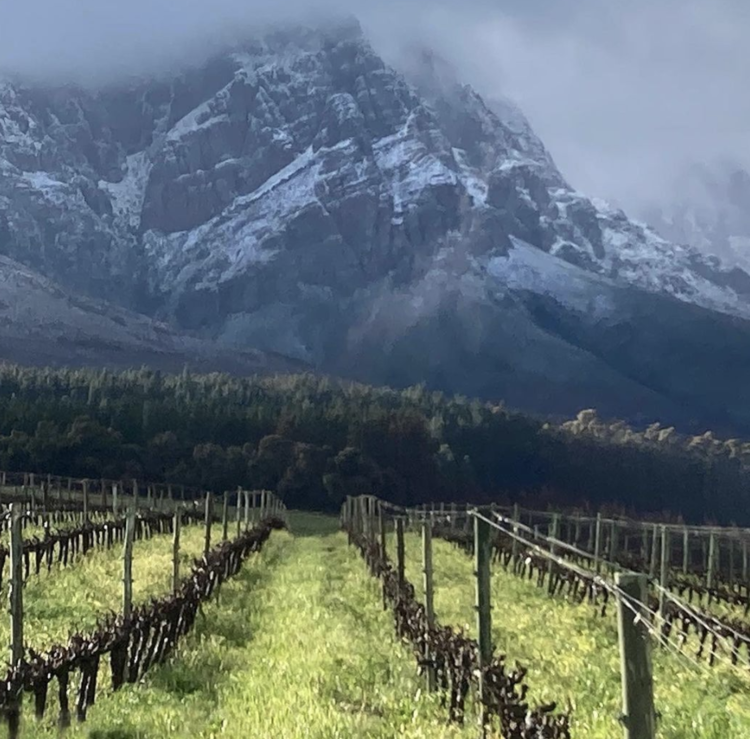 Chenin Blanc Chenin Blanc "Barrel Fermented", Safriel House, Paarl, ZA, 2021
