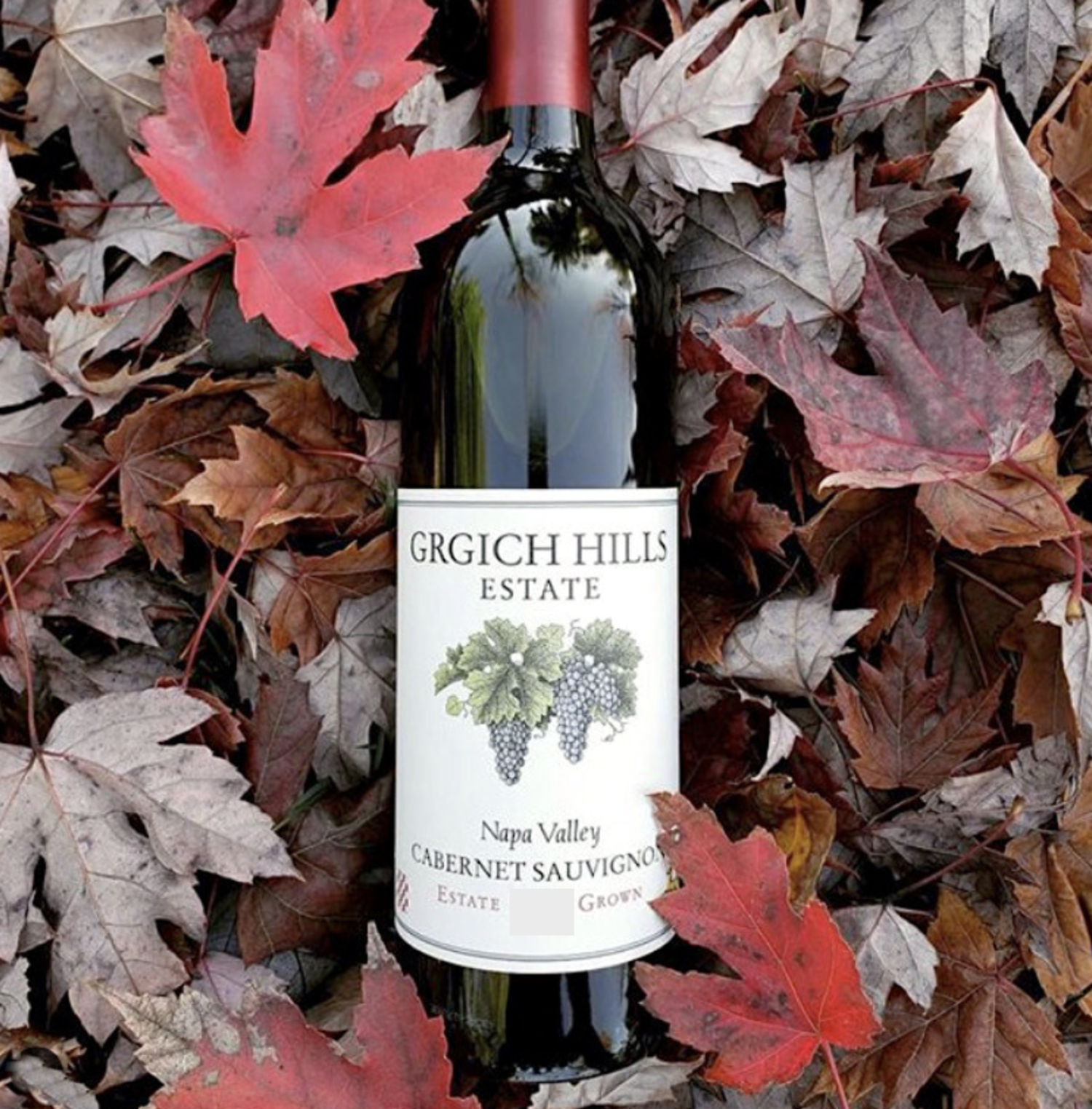 Grgich Hills Cabernet Sauvignon, Michael's Wine Cellar - Michael's
