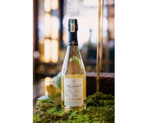 champagne-champagne-blanc-de-