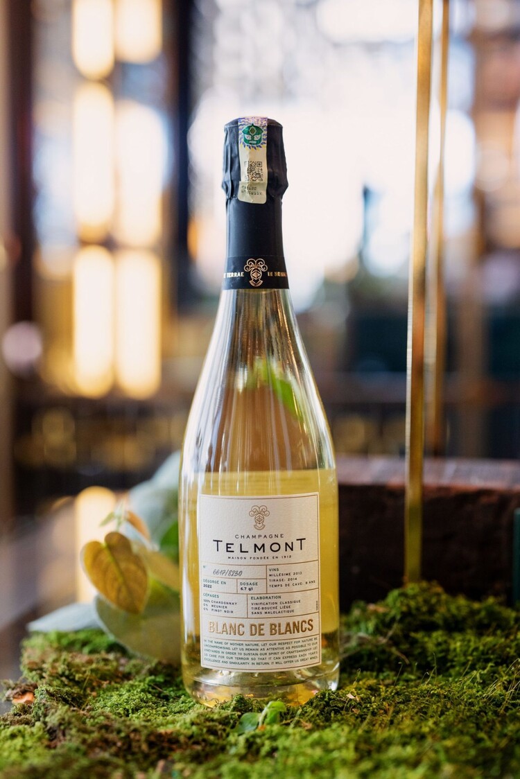 Champagne Champagne "Blanc de Blanc", Telmont, Épernay, FR, 2014