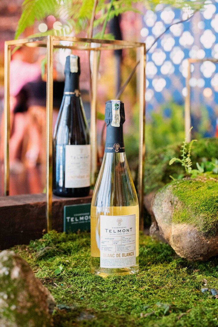 Champagne Champagne "Blanc de Blanc", Telmont, Épernay, FR, 2014