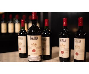 super-tuscan-super-tuscan-