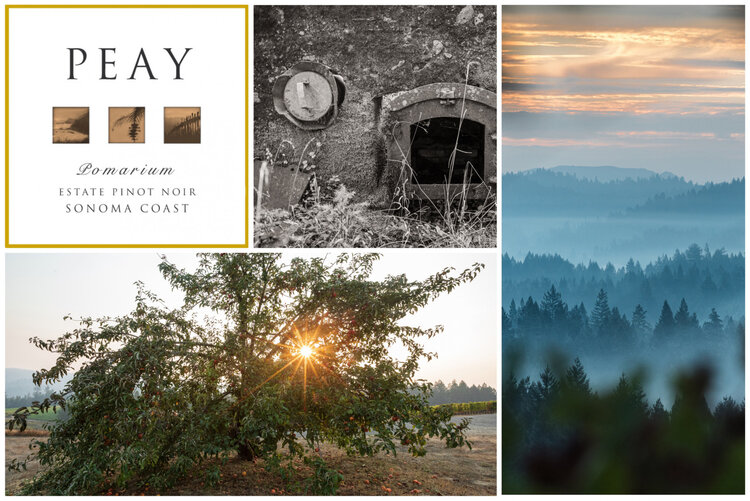 Pinot Noir Pinot Noir, "Pomarium" Peay Vineyards, Sonoma, CA, 2021