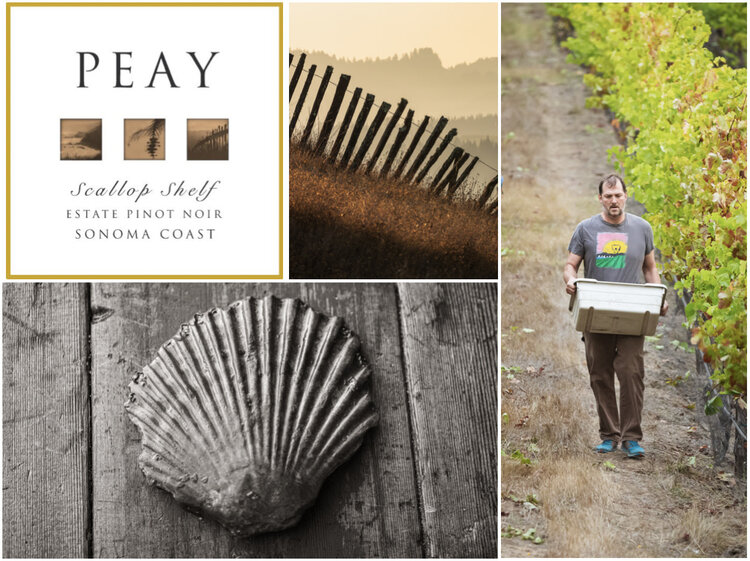 Pinot Noir Pinot Noir, "Scallop Shelf" Peay Vineyards, Sonoma, CA, 2021