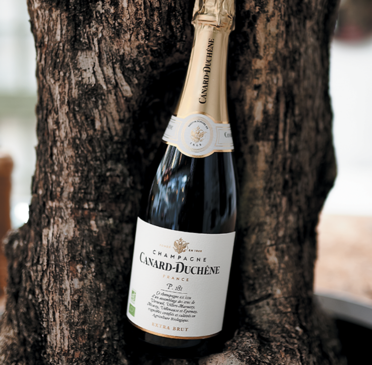 Champagne Champagne “P181 Extra Brut”, Maison Canard Duchêne, Montagne de Reims, FR, NV (est. 1868)