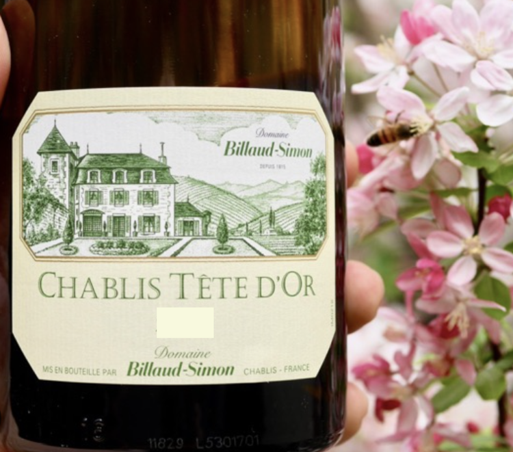 White Burgundy Chablis "Téte D'Or" Domaine Billaud-Simon, FR, 2021