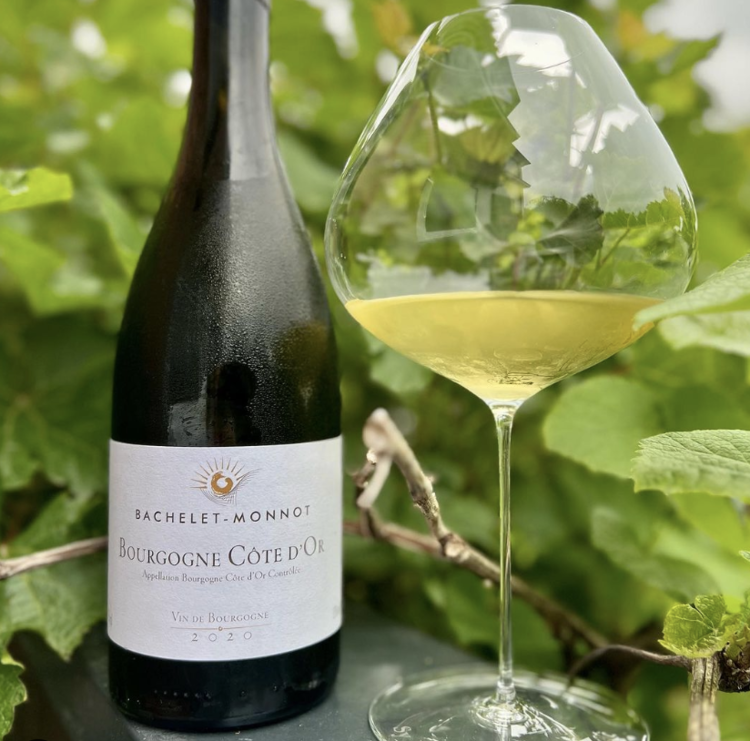 White Burgundy Bourgogne Blanc "Cote d'Or", Bachelet-Monnot, Burgundy, FR, 2021
