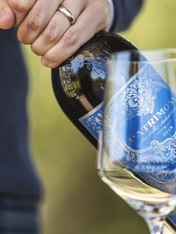 Cabernet Sauvignon Cabernet Sauvginon, Patrimony by Daou, Paso Robles, CA, 2019 (Daniel Daou)