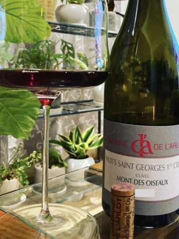 Burgundy Nuits-Saint-Georges 1er Cru "Mont Des Oiseaux", Domaine de L'arlot, FR, 2020 (Géraldine Godot)
